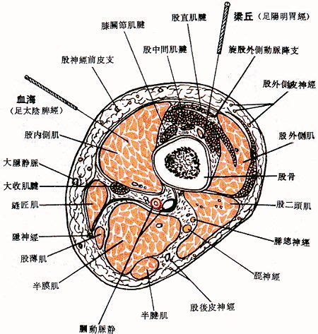 虎口位置|醫砭 » 經穴庫 » 虎口